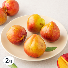하이프루츠 새콤달콤 후무사 자두, 2개, 1kg(특대)