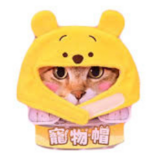 迪士尼寵物變裝帽 維尼 5吋 寵物角色扮演服裝 寵物帽, 1個