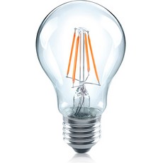 뉴올빔 투명 LED 에디슨전구 26베이스 SCL A60 6W E26 L827, 전구색, 1개