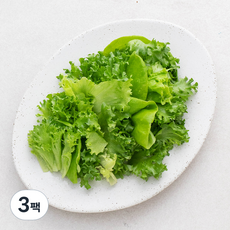 친환경 인증 국내산 유러피안 소프트 샐러드, 300g, 3팩