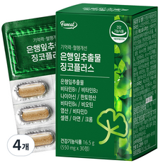퍼니트 기억력 혈행개선 은행잎추출물 징코플러스 17g, 30정, 4개