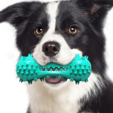 422766402540115-c2dbd6a7-6d51-4815-ae4a-2cba6d389ca9.png