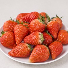 광식이농장 미니 킹스베리, 500g, 1개