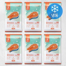 하이독 강아지 화식사료 (냉동), 연어, 6개, 100g
