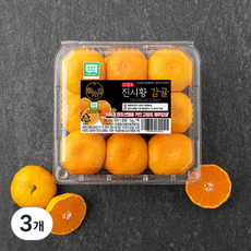 GAP 진시황 당도선별 감귤, 1kg, 3개