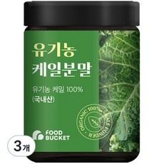 푸드버킷 유기농 케일분말, 100g, 3개