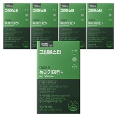 GREEN MONSTER 綠茶兒茶素Plus孅萃錠, 28顆, 5盒