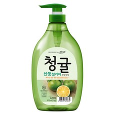 참그린 청귤 산뜻 설거지 주방세제, 970ml, 1개 1kg, 1개