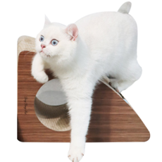 451495190506562-3d77aae0-9c6b-46ee-887b-46fa522f97ce.png
