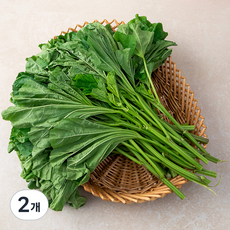 국내산 아욱, 1kg, 2개