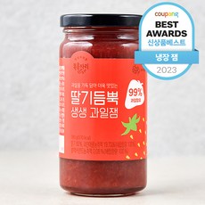 복음자리 과일 99% 딸기 듬뿍 생생과일잼, 380g, 1개