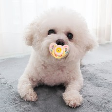 DING DONG PET 狗狗嬰兒奶嘴固齒器, 1個, 粉色