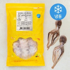 알찬해 손질 주꾸미 (냉동), 660g, 1개