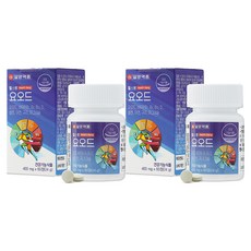IL-YANG 一洋藥品 碘&綜合維他命礦物質錠 24g, 60顆, 2罐
