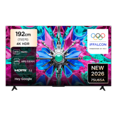 아이팔콘 4K HDR Google TV, 75U65A, 방문설치, 무타공 벽걸이형(추가비용발생), 192cm(75인치)