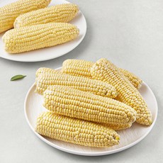 국내산 손질 초당옥수수, 10개, 1개입