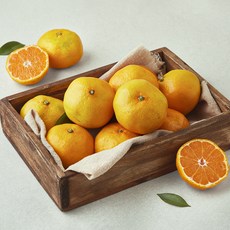 곰곰 당도선별 10brix 감귤, 1.8kg(대과), 1개