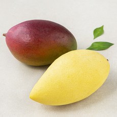 더로얄 혼합 태국망고 + 브라질애플망고 세트 850g, 1세트