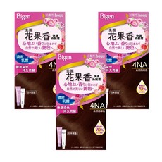 Bigen 美源 花果香快速染髮霜 4NA 自然亮棕色，濃密乳霜，徹底染色，持久亮麗, 4NA自然亮棕色, 3盒