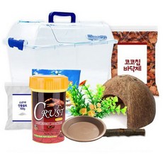  로라펫 코코칩 바닥재 산코 젤리 소라게 키우기 세트, 혼합색상 
