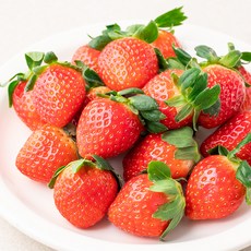 GAP고령 설향 딸기, 500g, 1팩