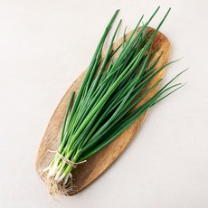 국내산 흙실파, 300g, 1봉