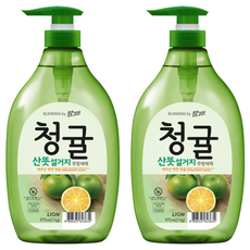 참그린 청귤 산뜻 설거지 주방세제, 970ml, 2개 1kg, 2개