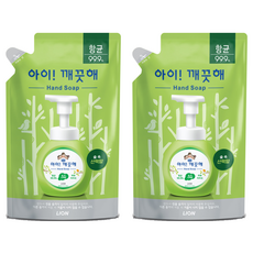 아이깨끗해 향균 폼 핸드솝 숲 속 산책향 리필, 450ml, 2개 2개, 450ml