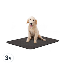  딩동펫 반려동물 빨아쓰는 소변매트, 1개입, 3개 