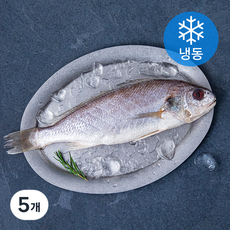 다미원 국내산 손질 백조기 (냉동), 220g, 5개