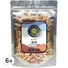 동이약초 모과, 150g, 6개