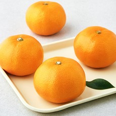 곰곰 당도선별 천혜향, 1.2kg(4~5입), 1개