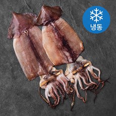 해선생반건조오징어