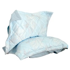 EmBrace 英柏絲 冰絲涼感鋪棉枕套 舒眠抗菌枕套 壓框枕頭套 2入組 48x75cm, 混和色, 48 x 75cm, 1組