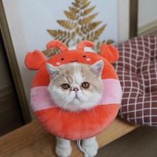 햄스터넥카라