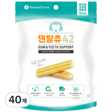 네츄럴코어 덴탈츄42, 상세 설명 참조, 7g, 40개 - 덴탈츄