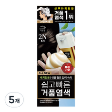 미쟝센 올뉴 쉽고 빠른 거품염색 80g