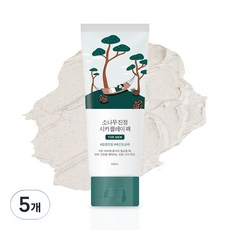 라운드랩 포 맨 소나무 진정 시카 클레이 팩 100ml, 5개, 1개입