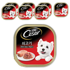 시저 1세 이상 강아지 주식캔, 소, 100g, 8개 소, 100g, 8개