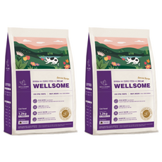 웰썸 동애등에 전연령용 그레인프리 고양이 인섹트 사료, 곤충, 1.2kg, 2개