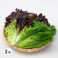 친환경 적상추+청상추, 200g, 3개