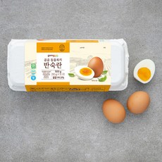 계란장조림반숙