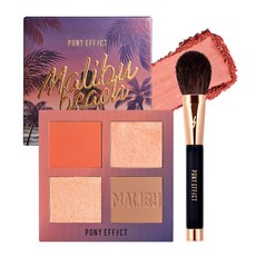 포니이펙트브러쉬