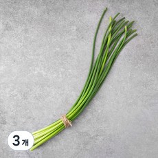 중국산 신선마늘쫑, 250g, 3개