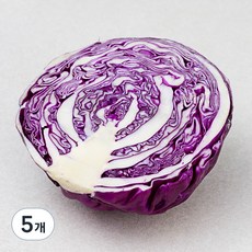 국내산 친환경 적채, 250g, 5개