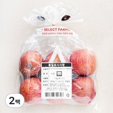 셀렉트팜 GAP 인증 A 사과 소과 6입, 1kg, 2팩