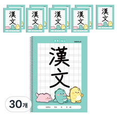 POPO FANCY Rhino小學漢文筆記本, 30個, 薄荷