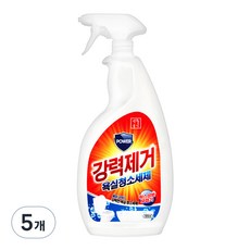 생활공식 강력제거 욕실청소세제, 5개, 600ml