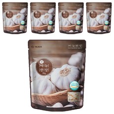 자연한알 간편양념 마늘한알 향신료, 20g, 5개