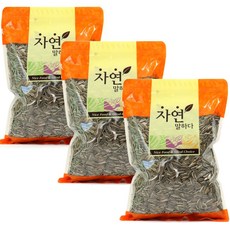 자연말하다